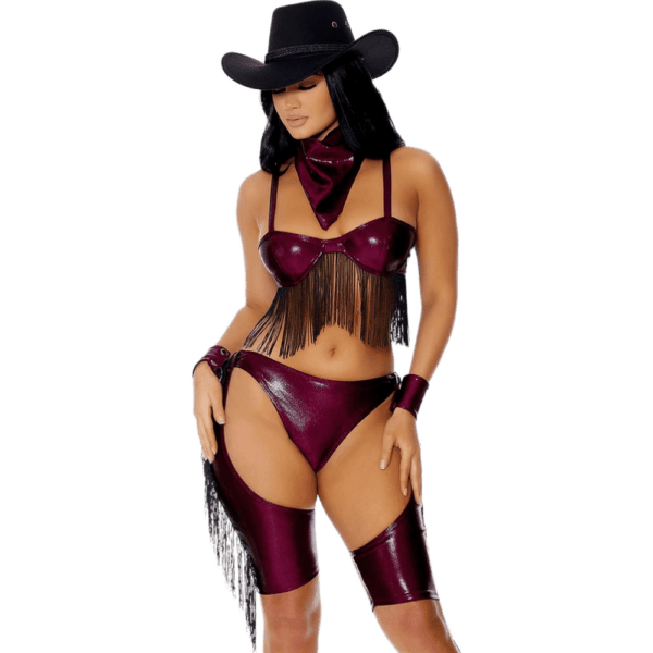 Out West Cowgirl Costume