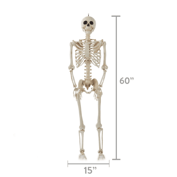 WAY to CELEBRATE! Halloween Hanging Posable Skeleton Decoration, 5' - Image 4