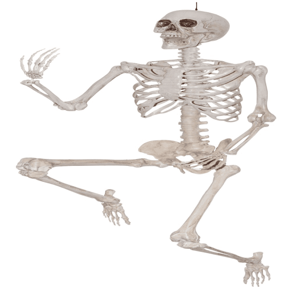 WAY to CELEBRATE! Halloween Hanging Posable Skeleton Decoration, 5'