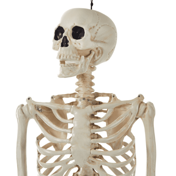 WAY to CELEBRATE! Halloween Hanging Posable Skeleton Decoration, 5' - Image 2