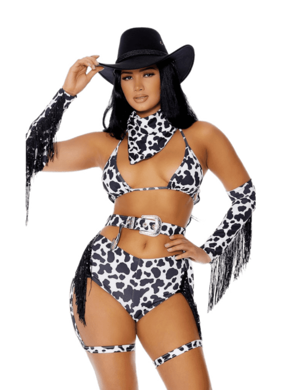 Wild Wild Cowgirl Costume