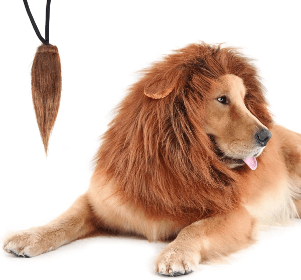 Lion Mane for Dog Costumes, Dog Lion Mane, Realistic Lion Wig for Medium to Large Sized Dogs, Large Dog Halloween Costumes, Lion Mane for Dog， Halloween Costumes for Dogs (Dark Brown)